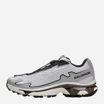 Чоловічі кросівки для бігу Salomon XT-Slate L47460500 43.5 Сріблясті (195751554275)