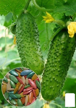 На развес Огурец "Смесь F1" Agro-Market цена за 2г (15697)