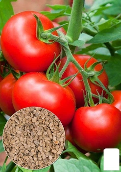 На развес Томат "Волгоградский 5/95" Agro-Market цена за 1г (22151)