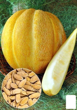 На развес Дыня "Эфиопка" Agro-Market цена за 6г (46092)
