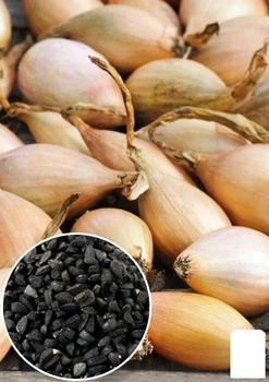 На развес Лук "Любчик" Agro-Market цена за 5г (48488)