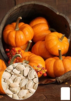 На развес Тыква "Ромашка" Agro-Market цена за 10г (50035)