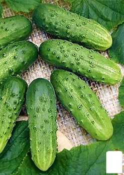 Огурец "Лилипут" (в банке) Agro-Market 3г (46896)