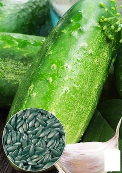 На вагу Огірок "Передгірний виноград F1" Agro-Market ціна за 3г (22144)
