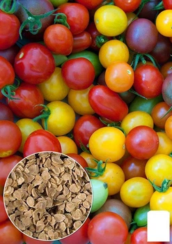 На развес Томат "Смесь полевых сортов" Agro-Market цена за 3г (46883)