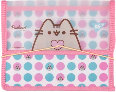 Папка для тетрадей YES Pusheen. Heart В5 на резинке Розово-голубая (5056574430021)