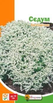 Насіння Яскрава Седум (Очиток) 0.05 г (21222)