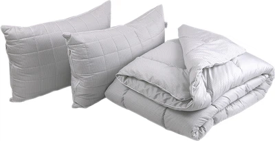 Набор Руно Elegante Одеяло Демисезонное Евро 200х220 Антиаллергенное волокно + Подушка 50х70 см х 2 шт (2000009630008)