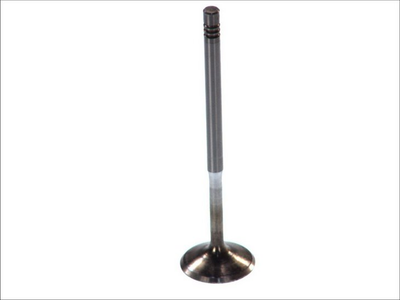 Впускні клапани AE V94081 Audi TT, A6, Allroad, A4, A3, A8; Volkswagen Passat, Golf, Bora, Sharan, Polo; Skoda Superb, Octavia; Seat Leon, Ibiza 058109601P, 058109601C