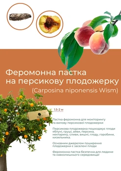 Феромонна пастка на персикову плодожерку (пастка + феромон)