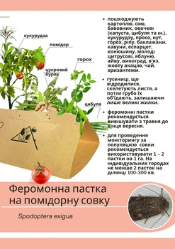 Феромонная ловушка на томатную совку-Spodoptera exigua (ловушка + феромон)