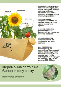 Феромонная ловушка на хлопковую совку Helicoverpa armigera Hb (ловушка + феромон)