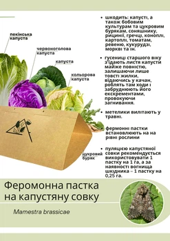 Феромонна пастка на совку капустяну (пастка + феромон)