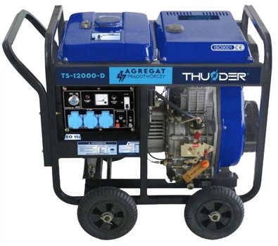 Дизельный генератор THUNDER TS-12000-D