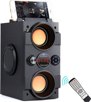 Акустична система Feegar DANCE LED 30W Bluetooth 5.0 Radio AUX SD (FEE-00700)