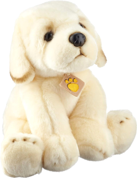 Maskotka Plush & Co Golden Retriever 30 cm (8029956159220)