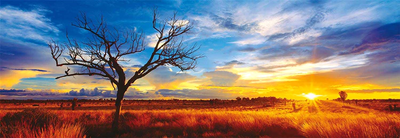 Пазл Schmidt Heye Mark Gray Panorama Desert Oak at Sunset Australia 94.8 x 32.7 см 1000 елементів (4001504592875)