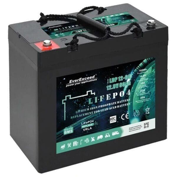 Акумулятор LiFePO4 EverExceed LDP 12-60 (12.8V60AH)