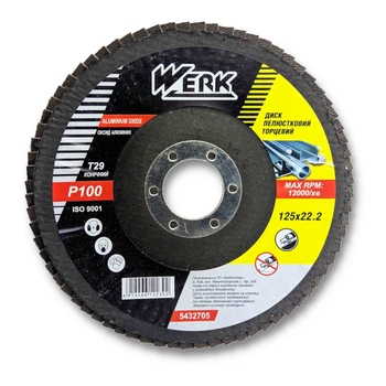 Круг пелюстковий Werk 125*22 мм конічний P100 (5432705) (4358)