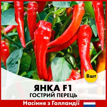 Перец Rijk Zwaan Янка F1, 8 шт
