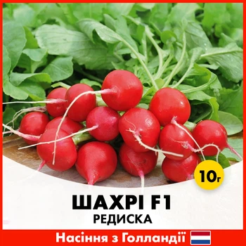 Редиска Hazera Шахрі F1, 10 г