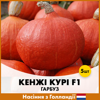 Тыква Enza Zaden Кенжи Кури F1, 5 шт