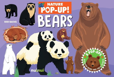 Nature Pop Up. Bears - David Hawcock (9782889750528)