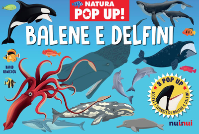 Nature Pop Up. Whales and Dolphins - David Hawcock (9782889750733)