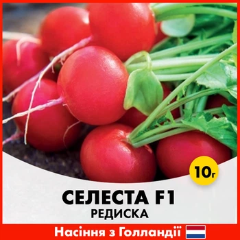 Редис Enza Zaden Селеста F1, 10 г