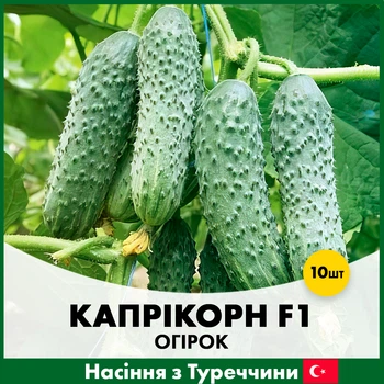 Огурец Yuksel Tohum Каприкорн F1, 10 шт