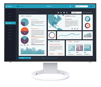 Монитор Eizo FlexScan EV2495-WT (EV2495-WT) EU