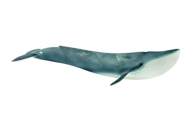 Figurka Schleich Wild Life Whale Blue 15 cm ( 4055744020742)