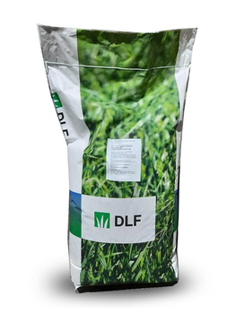 Костриця (вівсяниця) червона DLF 1 кг