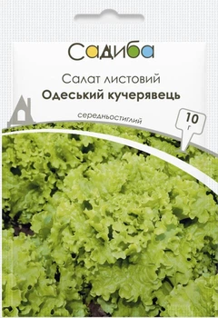 Семена Салат Одесский Кучерявец, Традиция 10 г