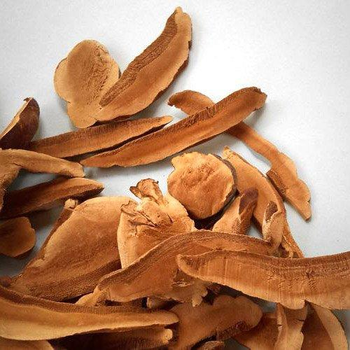 Сушеный гриб Линчжи - для молодости и здоровья Siam Eco Food 50 грамм