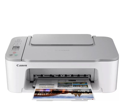 БФП Canon PiXMA TS3451 (4463C026)