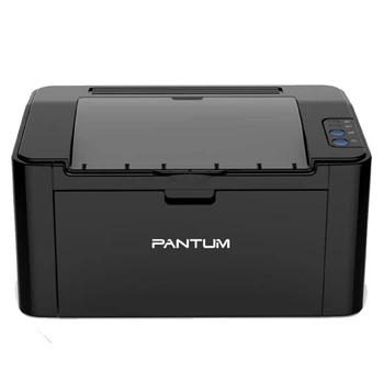 Принтер лазерный Pantum P2507