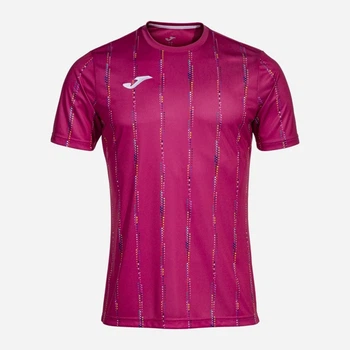 Футболка спортивная длинная мужская Joma Pro Team 103685.500 M Фуксия (8445954518812)