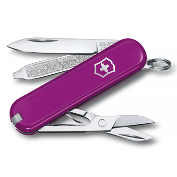 Нож Victorinox Classic SD with Box Grape (1049-Vx06223.52G)