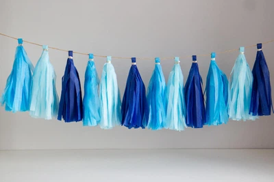 Гірлянда tassel "Блакитна", 12 пензликів