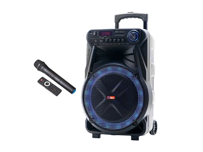 Колонка-чемодан Sky Sound SS-7171 USB/FM/Bluetooth