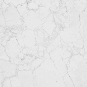 Виниловый фотофон 120x120см, Frontlit 450 г/м2 №551239