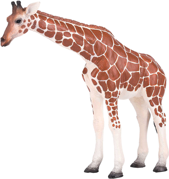 Фігурка Mojo Giraffe Female XL 12.4 см (5031923810334)