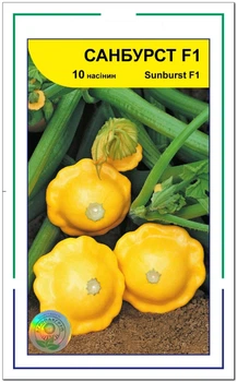 Семена патисон Санбурст F1, Syngenta, 10 шт.