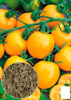 На развес Томат "Монастырская трапеза" Agro-Market цена за 1г (178432)