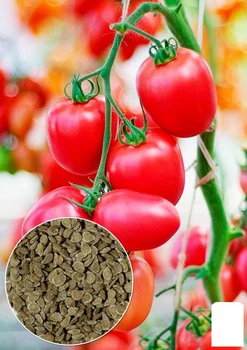 На вагу Томат "Камелот" Agro-Market ціна за 1г (178653)