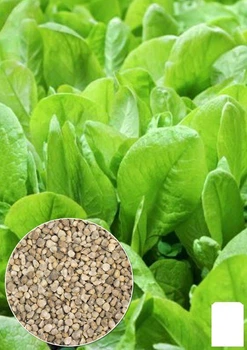 На развес Шпинат "Гигантский" Agro-Market цена за 7г (35738)