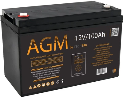 Аккумулятор AGM TECHTRU 12V 100Ah VRLA