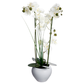 Sztuczna orchidea Atmosphera w ceramicznej doniczce (3560239260868)