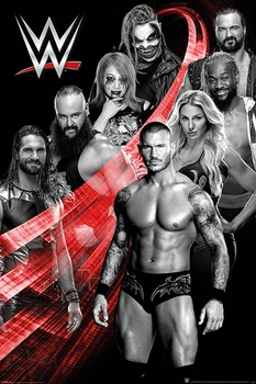 Постер плакат "WWE (Superstars Swoosh)" 61x91.5см Pyramid International (ps-002598)